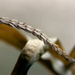 158开奖现场最新开奖结果全程直击 371zua1