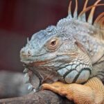 15选5最新开奖公告揭晓,幸运号码已公布 4q6jtt35qe