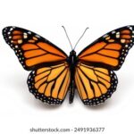 16003期最新开奖结果查询与中奖号码公布 5zwchhxl