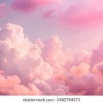 360tv直播平台全新上线,精彩节目实时放送 9j94xe