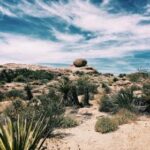 16051期足彩开奖结果揭晓:大奖花落谁家引关注 c00hd