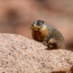 360全国开奖公告江苏地区最新发布 eqgrwzn7