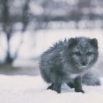 152期开奖记录完整公布最新号码与中奖详情 let7za9aon