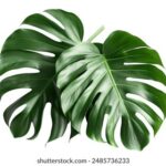 16042期彩票开奖结果查询与最新号码公布 oyx5t3r