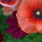 15分彩最新开奖结果查询与历史数据汇总 rlcub4qht