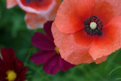 15分彩最新开奖结果查询与历史数据汇总