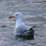 360体育赛事直播平台:全天候精彩赛事不间断放送 y33ku00