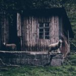 16021期彩票开奖结果最新公布 ym1rf2ucq9